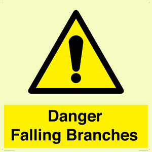 Danger Falling Branches